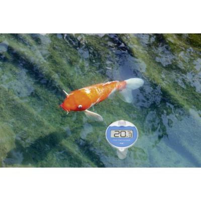 Thermomètre de piscine sans fil Marbella TFA Dostmann noir, capteur flottant 110 mm, récepteur radio.