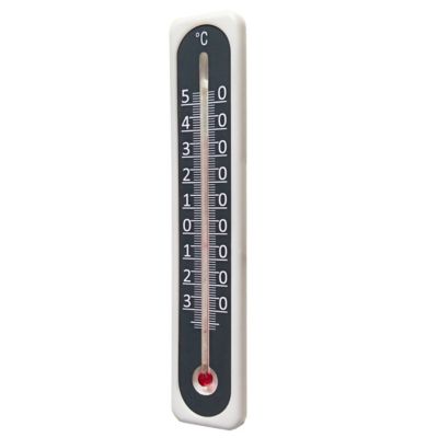 Thermomètre analogique intérieur Terdens noir et argent