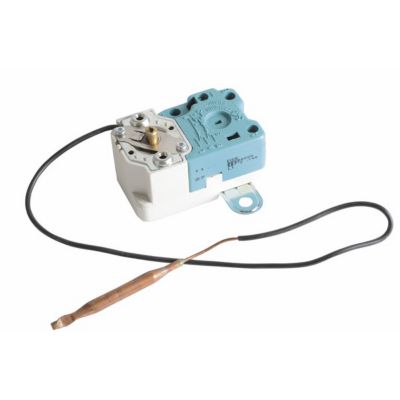 Thermostat de chauffe-eau à sonde L400mm, S 80 C bipolaire BBSB- COTHERM - BBSB000507