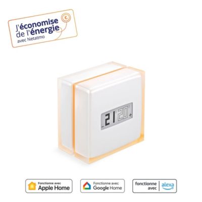 Thermostat Intelligent Netatmo Castorama