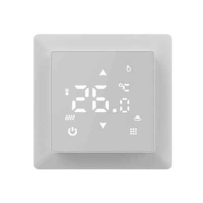 Thermostat, régulateur de température TS100 Tactile, blanc