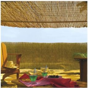 Tiges de roseaux naturels Reedcane - Dimensions : 1 x 5 m