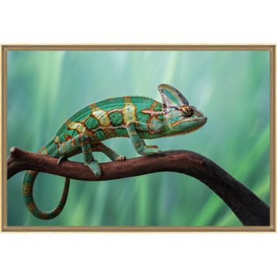 Tirage encadré sur verre synthétique chameleon 90x60 cm Fabriqué en France