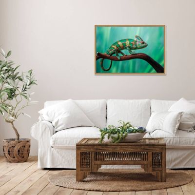 Tirage encadré sur verre synthétique chameleon 90x60 cm Fabriqué en France