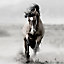 Toile chevaux sauvage Ceanothe L.45 X l.45 cm