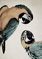 Toile deux perroquets 100 x 140 cm