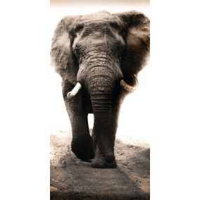Toile éléphant 70 x 140 cm