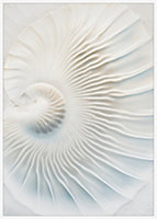 Toile imprimée 3d Dada Art l.50 x H.70 cm blanc