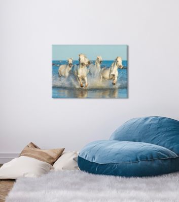 Toile imprimée chevaux au gaop l.60 x H.90 cm