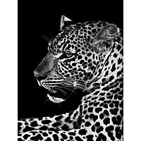 Toile imprimée Jaguar N&B 80 x 60 cm