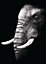 Toile imprimée regard éléphant l.100 x H.140 cm