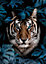 Toile imprimée tigre bleu l.60 x H.90 cm