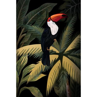 Toile imprimée Toucan tropical 60 x 90 cm Dada Art