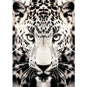 Toile leopard noir, blanc Dada Art l.50 x H.70 cm