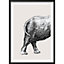 Toile lot 2 éléphants L.70 x l.50 cm