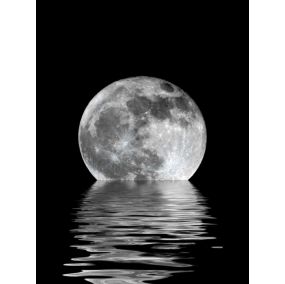 Toile lune noir, blanc Dada Art l.60 x H.80 cm