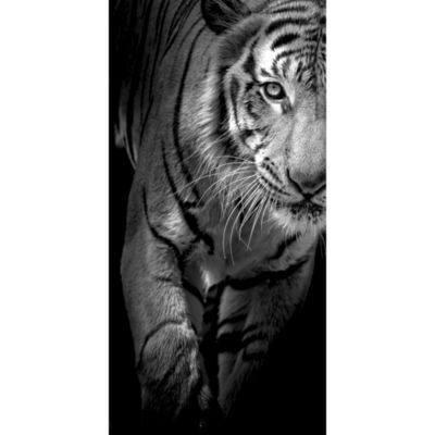 détendue Tiger noir / blanc Taille: 120x80 sur toile, XXL énormes Photos  complètement encadrées avec civière, impression d'art sur murale avec cadre,  moins cher que la peinture ou la peinture à l'huile