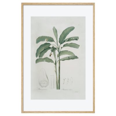 Toile planche hirondelle 60 x 90 cm