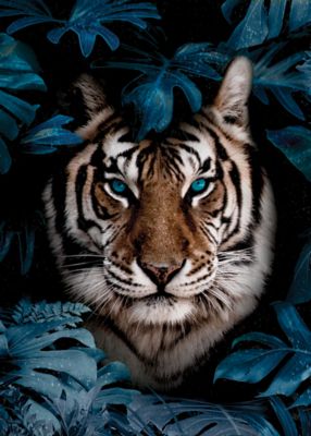 Toile tigre bleu 60 x 90 cm