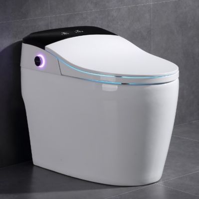 Toilette japonaise moderne Daimyo