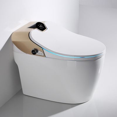 Toilette japonaise moderne Samourai