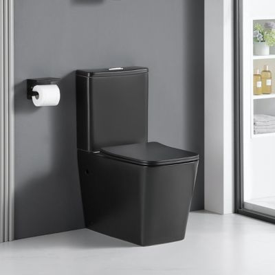 Toilette WC à poser BRAGADO en ceramique noir mat