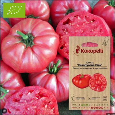 Tomate Brandywine Pink- Graines bio à semer