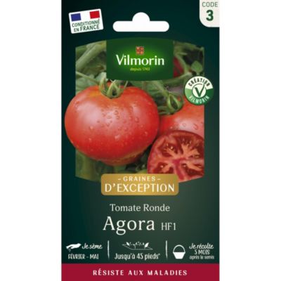 Tomate ronde Agora HF1 en graines Vilmorin