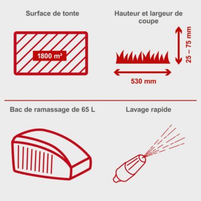 Tondeuse thermique autotractée MS225-53 Scheppach - moteur 4T 224 cm3 - largeur de coupe 53 cm - 25-75 mm - 1800 m2 - bac 65L
