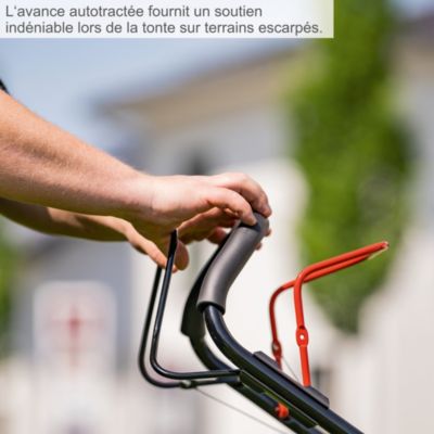 Tondeuse thermique autotractée MS225-53 Scheppach - moteur 4T 224 cm3 - largeur de coupe 53 cm - 25-75 mm - 1800 m2 - bac 65L