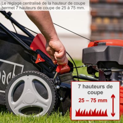 Tondeuse thermique autotractée MS225-53 Scheppach - moteur 4T 224 cm3 - largeur de coupe 53 cm - 25-75 mm - 1800 m2 - bac 65L