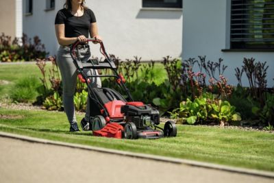 Tondeuse thermique autotractée 224 cm³ - largeur de coupe 56 cm - bac 65 L Scheppach MS225-56