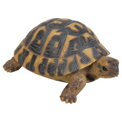 Tortue Hermann en résine 17 cm