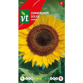 Tournesol Domino - Ca. 1 gr   Graines de fleurs
