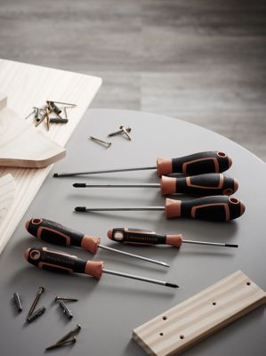 Tournevis standard Magnusson - 6 pièces