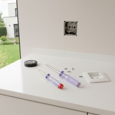 Tournevis testeur de tension 250V - 2 pièces