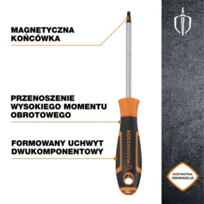 Tournevis tête Torx T20 Magnusson bout magnétique lame longueur 100 mm