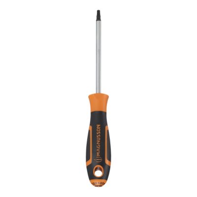 Tournevis tête Torx T20 Magnusson bout magnétique lame longueur 100 mm