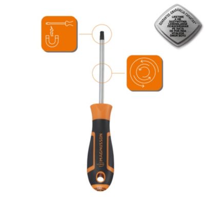 Tournevis tête Torx T30 Magnusson bout magnétique lame longueur 100 mm