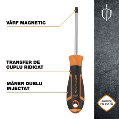 Tournevis tête Torx T30 Magnusson bout magnétique lame longueur 100 mm