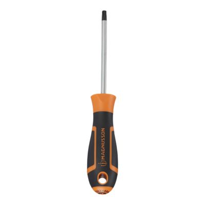 Tournevis tête Torx T30 Magnusson bout magnétique lame longueur 100 mm