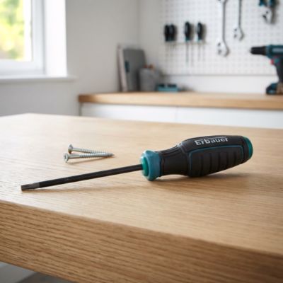 Tournevis torx T20 x 100 mm Erbauer noir