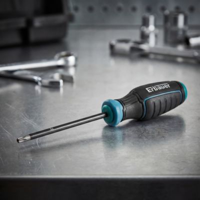 Tournevis torx T25 x 100 mm Erbauer noir