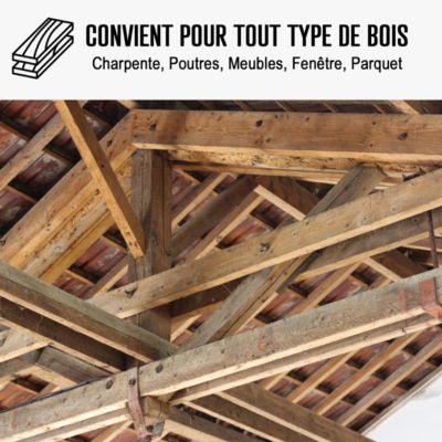 Traitement "anti mérule" : Traitement des bois, murs, caves, charpente  - 5 L - ARCANE INDUSTRIES