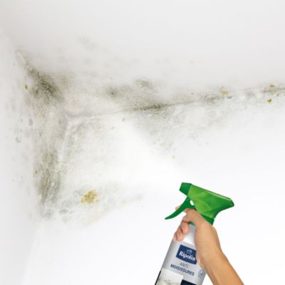 Traitement anti-moisissures intérieur extérieur Ripolin 0,5L