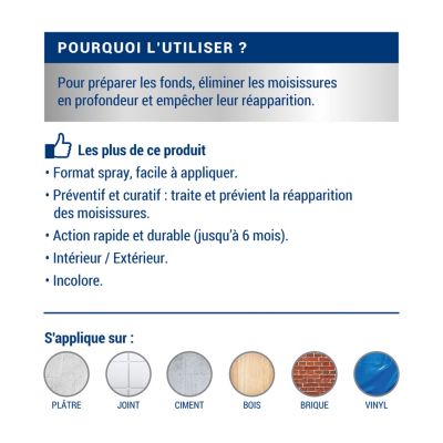 Traitement anti-moisissures intérieur extérieur Ripolin 0,5L