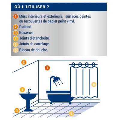 Traitement anti-moisissures intérieur extérieur Ripolin 0,5L