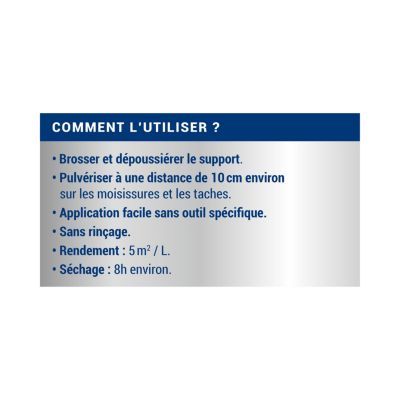 Traitement anti-moisissures intérieur extérieur Ripolin 0,5L