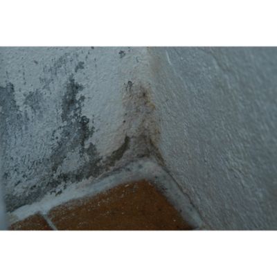 Traitement anti salpêtre bactéricide et fongicide Julien mat incolore 0,75L
