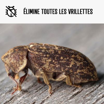 Traitement Bois Anti Vrillette du bois : Traitement des bois, charpente intérieur ou extérieur  - 5 L - ARCANE INDUSTRIES